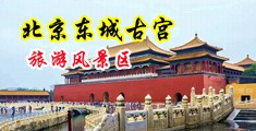 慢点插搞出白沫中国北京-东城古宫旅游风景区